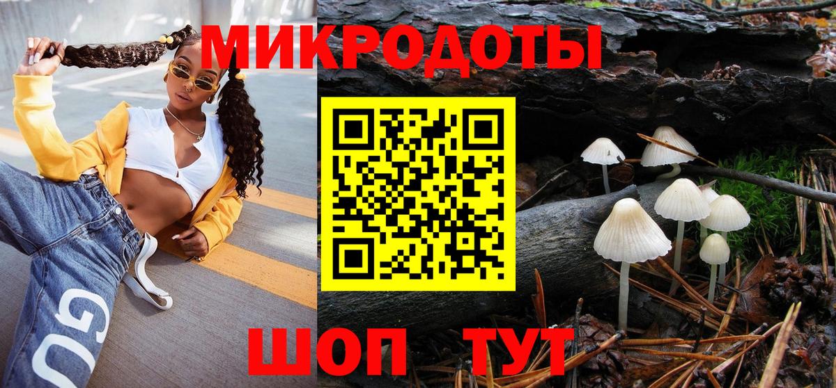 Чайковский  Галлюциногенные грибы Cubensis  Галлюциногенные грибы прущие грибы  Вход с VPN 
