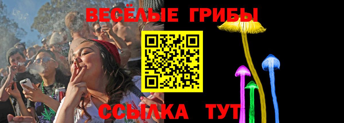 Псилоцибиновые грибы ЛСД Чайковский