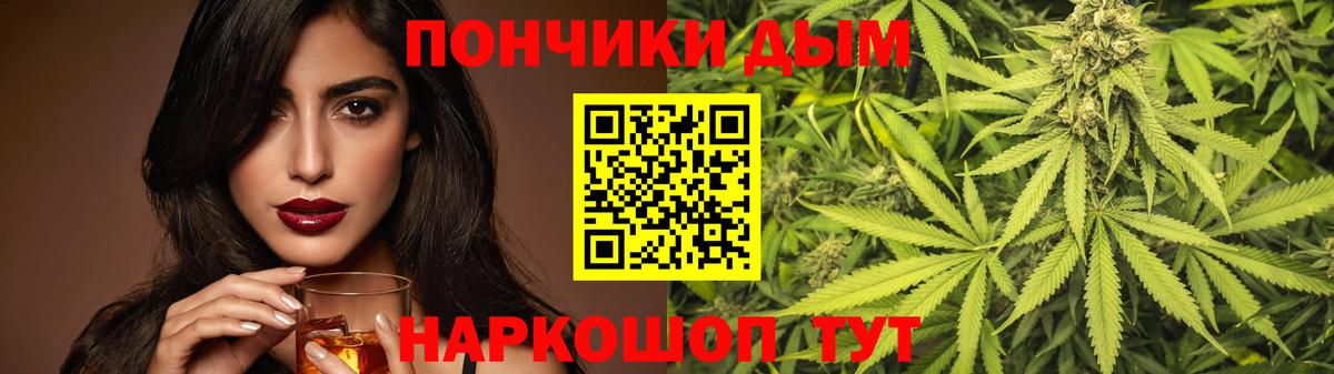 Каннабис планчик  Канабис сатива  Бошки Шишки гибрид  Чайковский  Вход с VPN 
